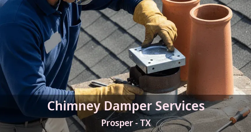 Chimney Damper Services Prosper - TX