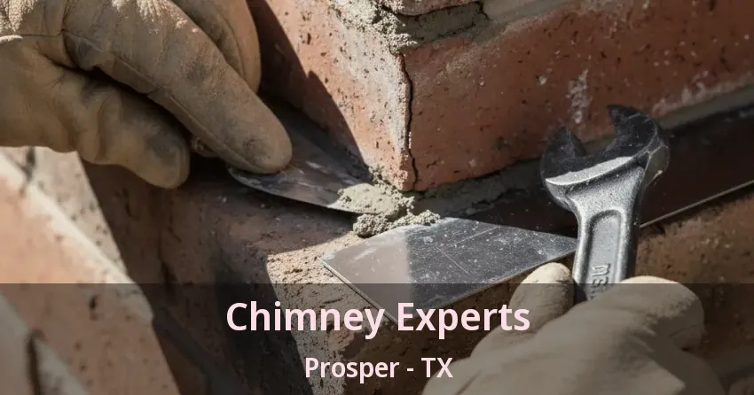 Chimney Experts Prosper - TX