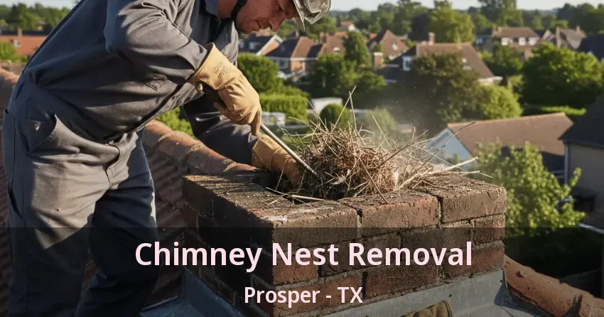 Chimney Nest Removal Prosper - TX Chimney Nest Removal Prosper - TX