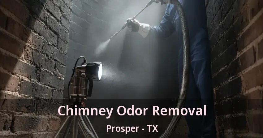Chimney Odor Removal Prosper - TX