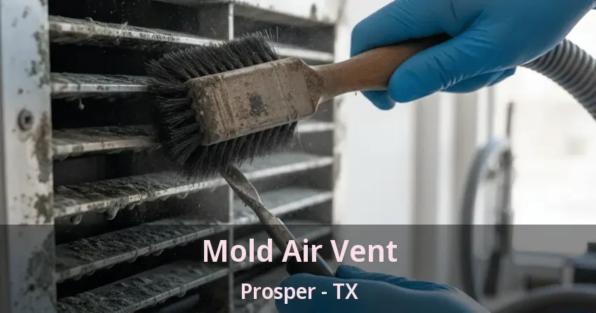 Mold Air Vent Prosper - TX