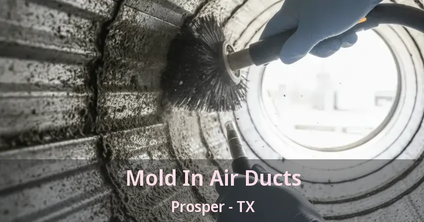 Mold In Air Ducts Prosper - TX Mold In Air Ducts Prosper - TX