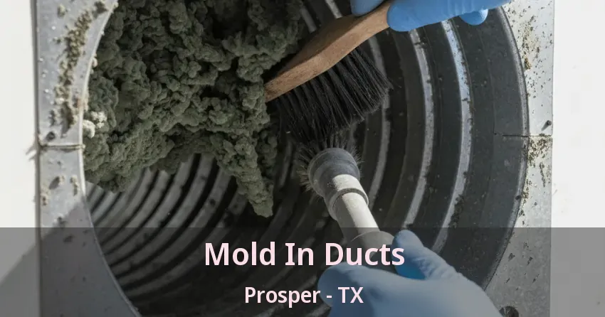 Mold In Ducts Prosper - TX Mold In Ducts Prosper - TX