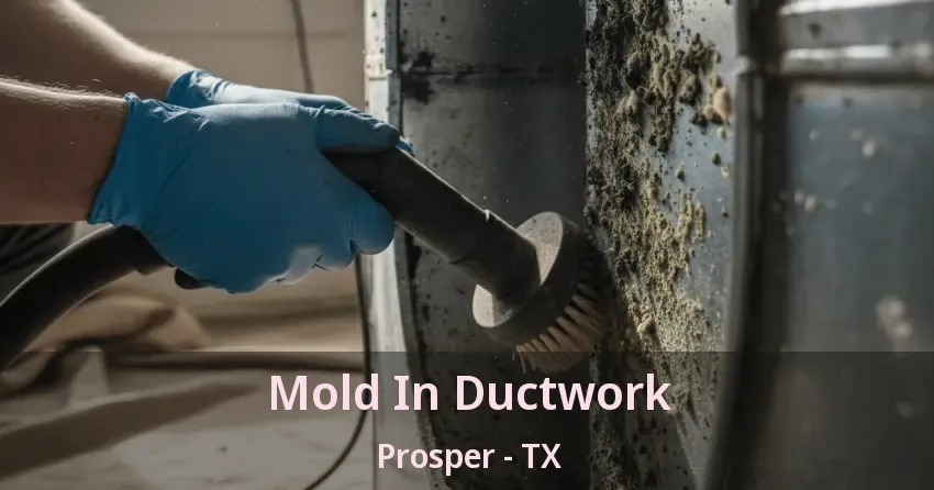 Mold In Ductwork Prosper - TX