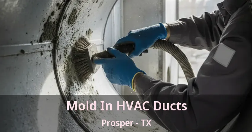 Mold In HVAC Ducts Prosper - TX