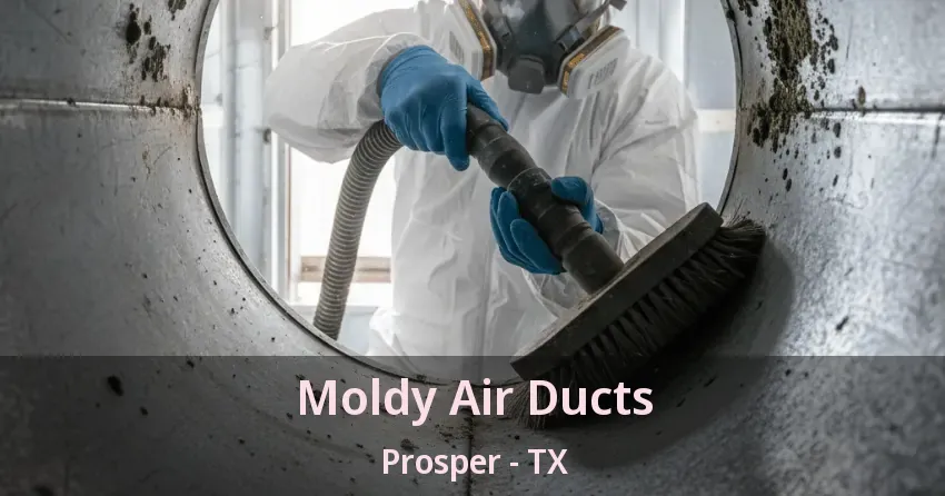 Moldy Air Ducts Prosper - TX